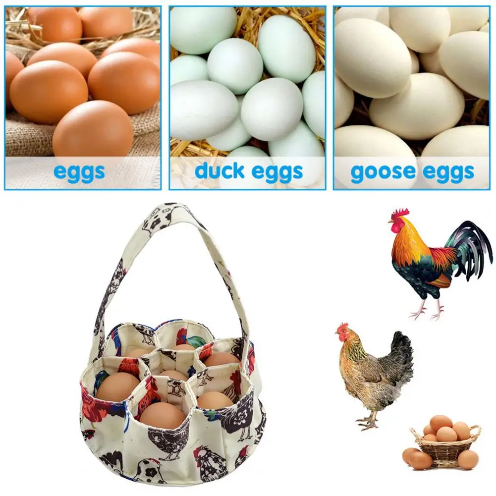 

Cushioning protection: There is no cushioning pad at the bottom of the egg collection basket for safe transportation.