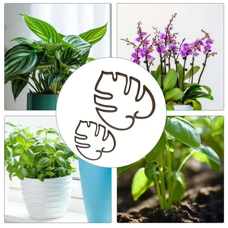 Подставка Monstera в форме черепахи для поддержки растений подставка Moss Pole Grapple