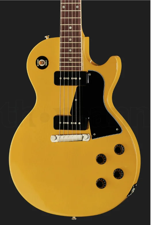 

only for a customer add medium jumbo frets and nitro paint fee not for a guitar