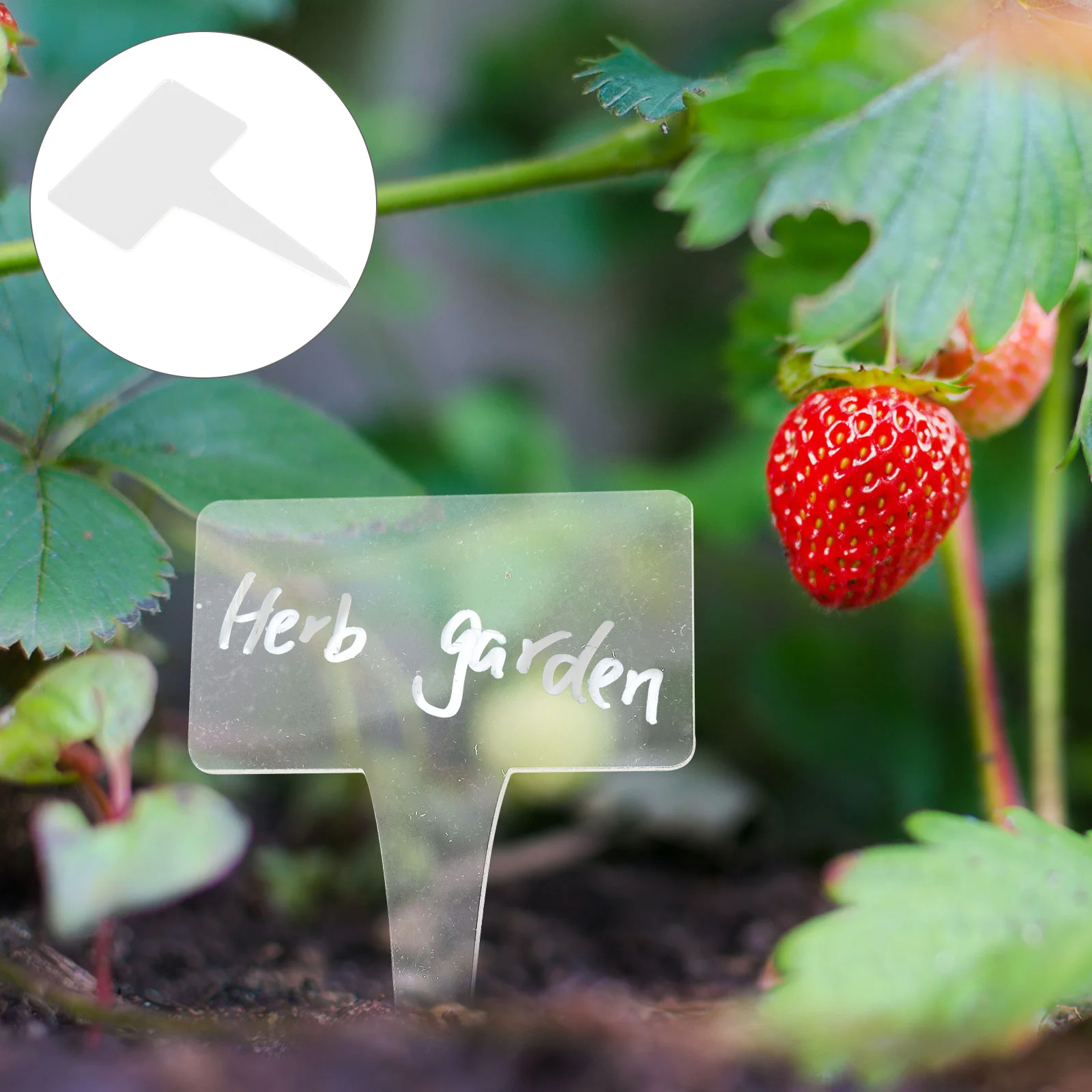 

Tags Labels Garden Nursery Acrylic Stake Name Label Markers Pot Distinguish Sticks Classification Sign T Type Tag Maker