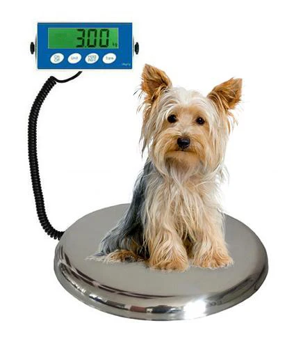 

Widely Used Superior Quality Livestock Pet Dog Weight Scale For Animals CN(Origin)