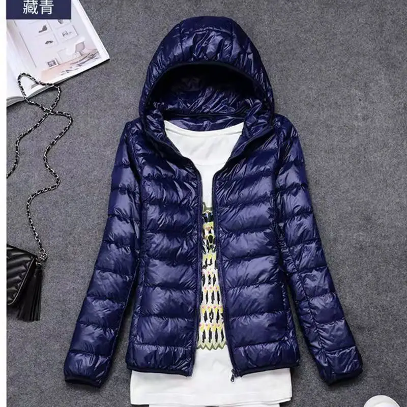 Рисунок 3 - Внесезонная легкая пуховая куртка большого размера