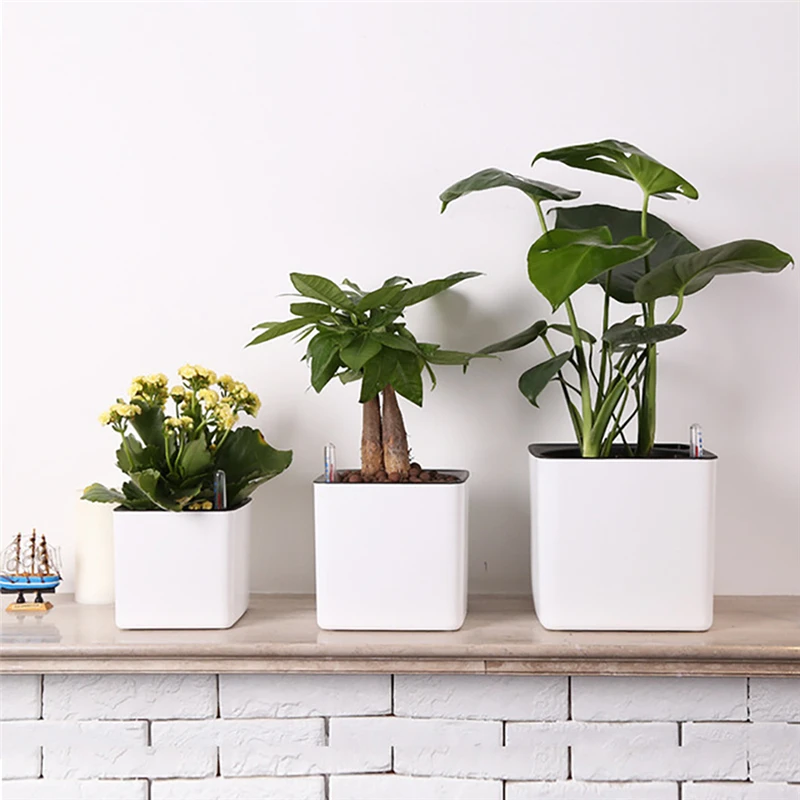 

White Self Watering Flower Pot with Water Level Indicator Office Desktop Garden Green Plant Potted Container