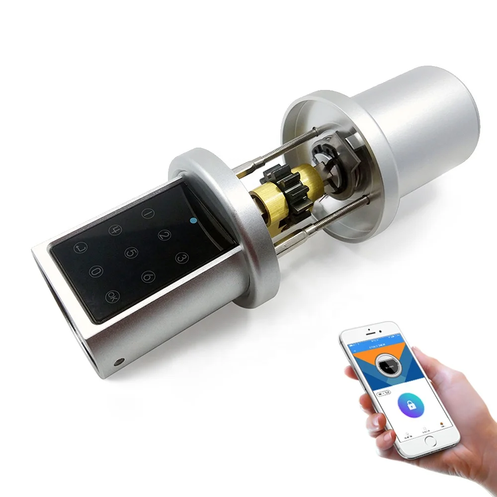 

Oem/Odm Electric Safe Apartment Airbnb Door Lock Smart Digital Password Lock Cylinder