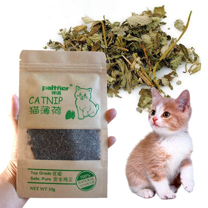 

Catnip Organic 100% Natural Premium Cattle Grass 10g Menthol Flavor Clean Teeth Healthy Funny Cat Care Catmint Toys Pet Products