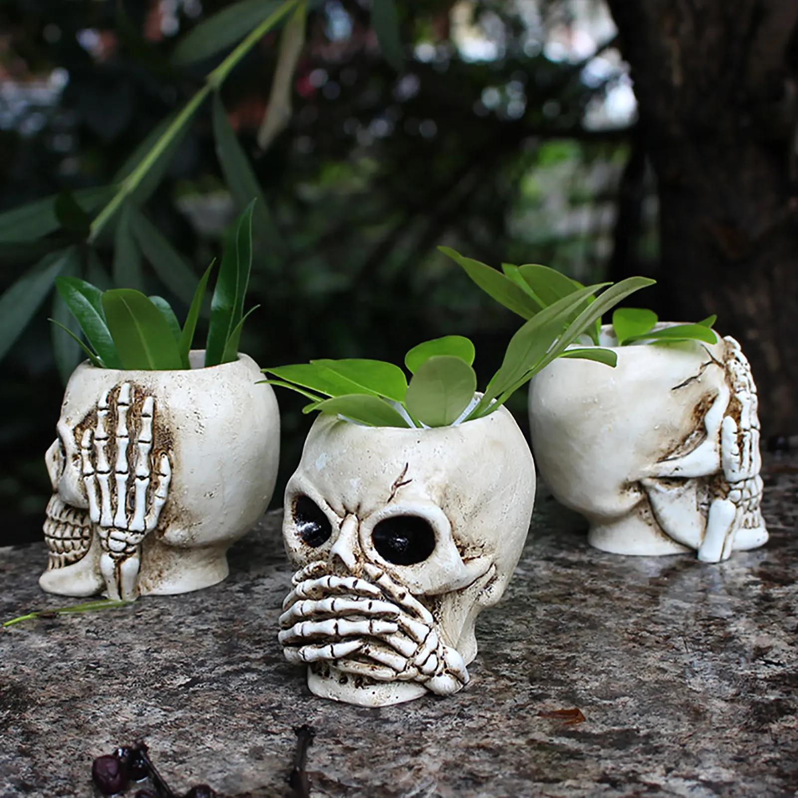 

3Pcs Skull Planter Pot Resin Skull Head Flower Pot Funny Planter Skull Pots Container Plant Bowl Container Table Decor Pen