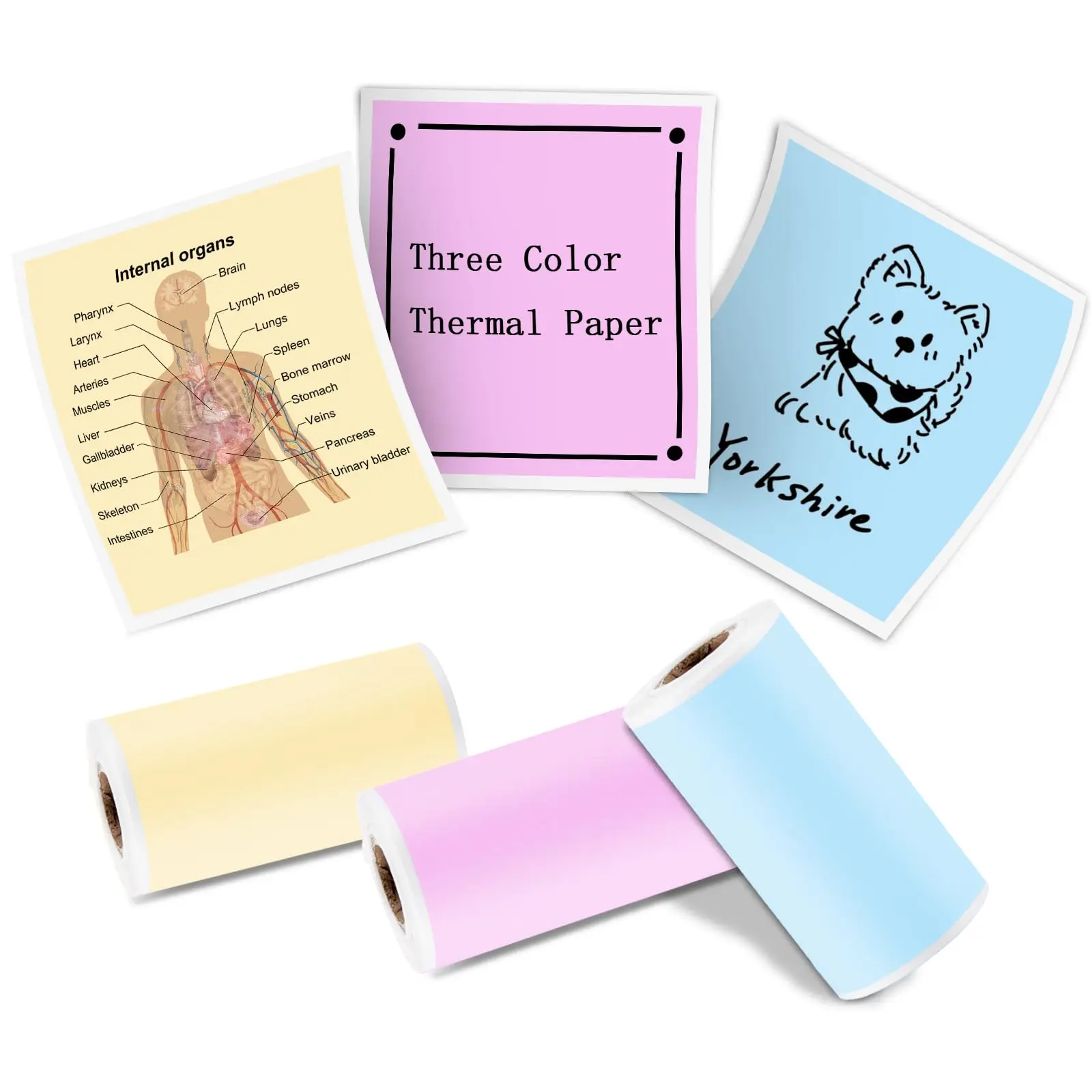 Красочная самоклеящаяся термобумага — 57x30 мм 3 рулона 8 м/рулон