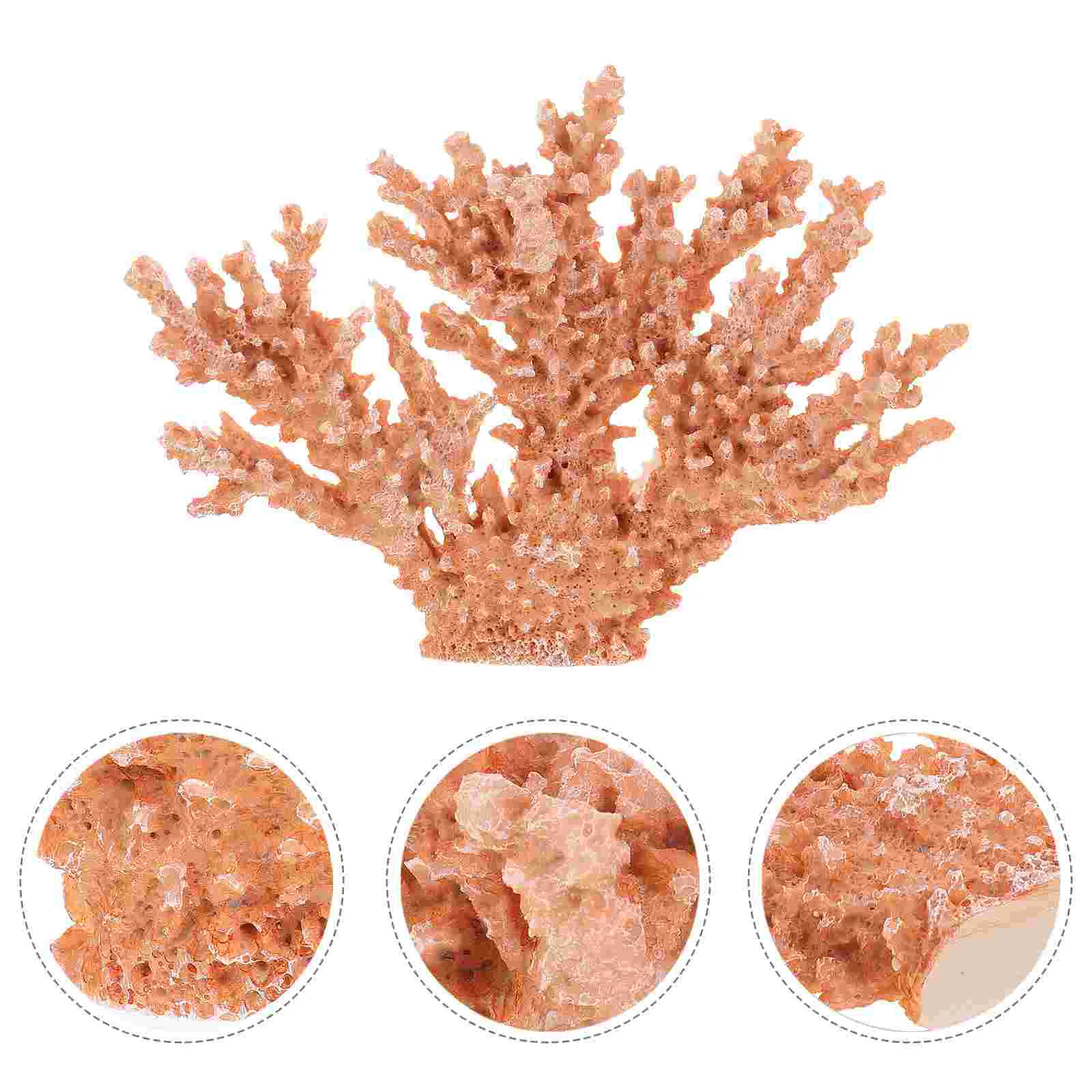 

Desktop Coral Decor Household Coral Sculpture Delicate Coral Figurine Table Decor