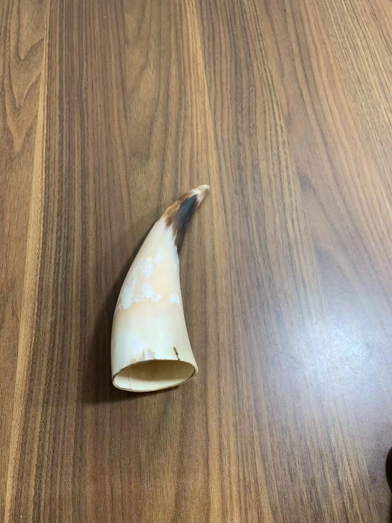 Черно-белый рог викингов уникальный натуральный массажный яка стоячий цилиндр