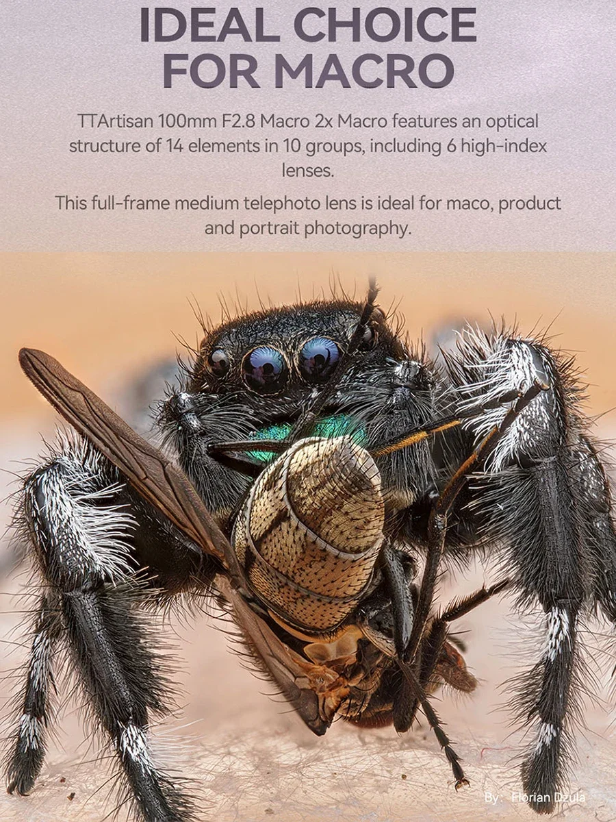 TTArtisan 100 мм F2.8 Macro 2x полнокадровый объектив DSLR для Canon Sony FujiNikon съемки насекомых