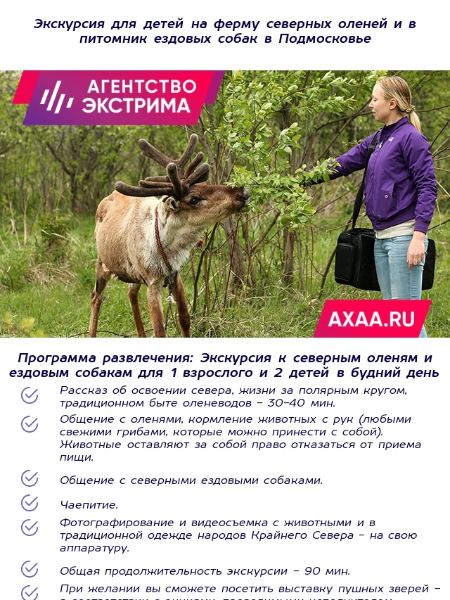Экскурсия к северным оленям и собакам 1 взрослый + 2 детей в будний день / Промокод |