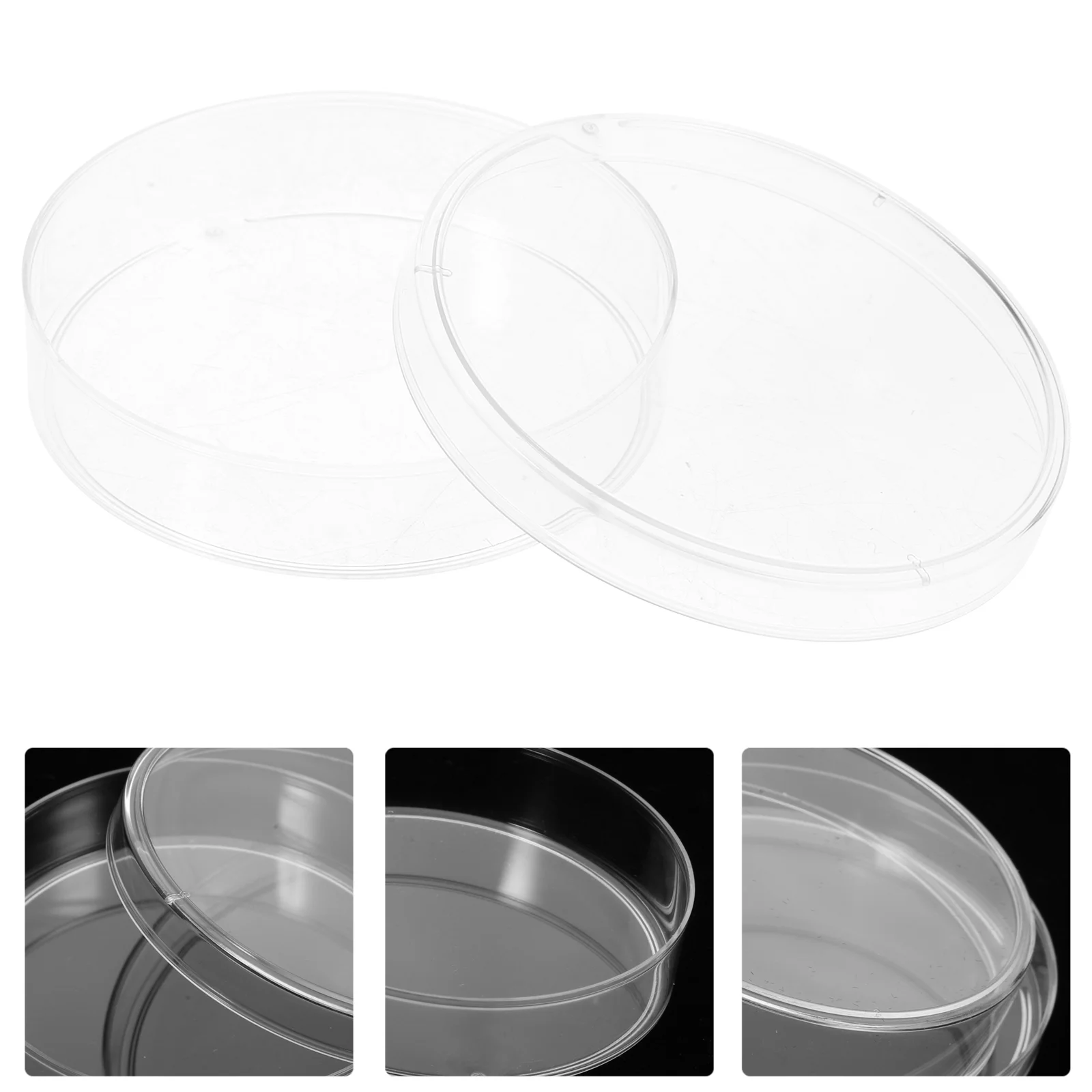 

10 Pcs Square Petri Dish Chemistry Disposable Culture Dishes Ordinary Tray Round Plastic Science Supplies