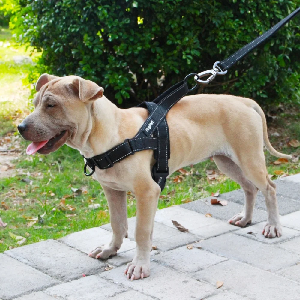 

Регулируемая шлейка для собак среднего и крупного размера, светоотражающая шлейка для дрессировки, не тянется, жилет для домашних питомцев