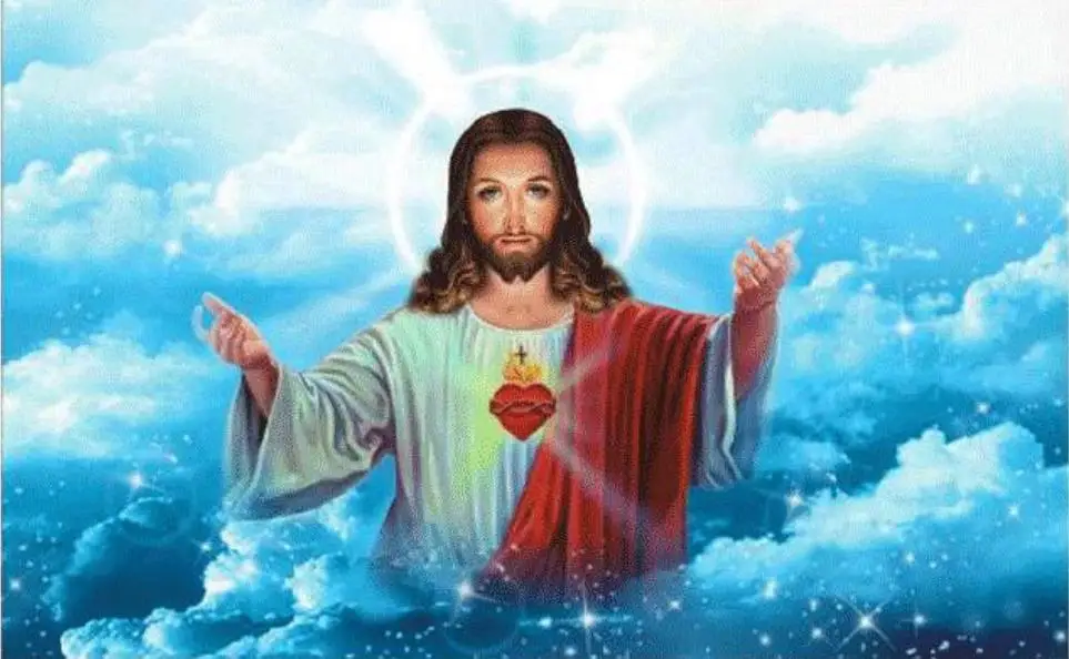 

20441Ann-Tulip diy Цифровая масляная живопись, картина маслом, акриловая Цветочная живопись, взрыв, ручная работа, пейзаж, живопись