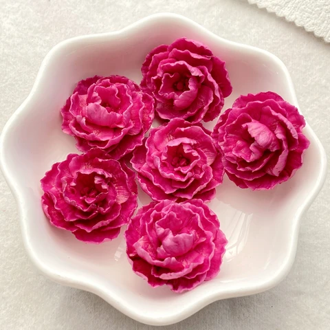 Фигурки из резины TSXJY Красивые розы 10 шт