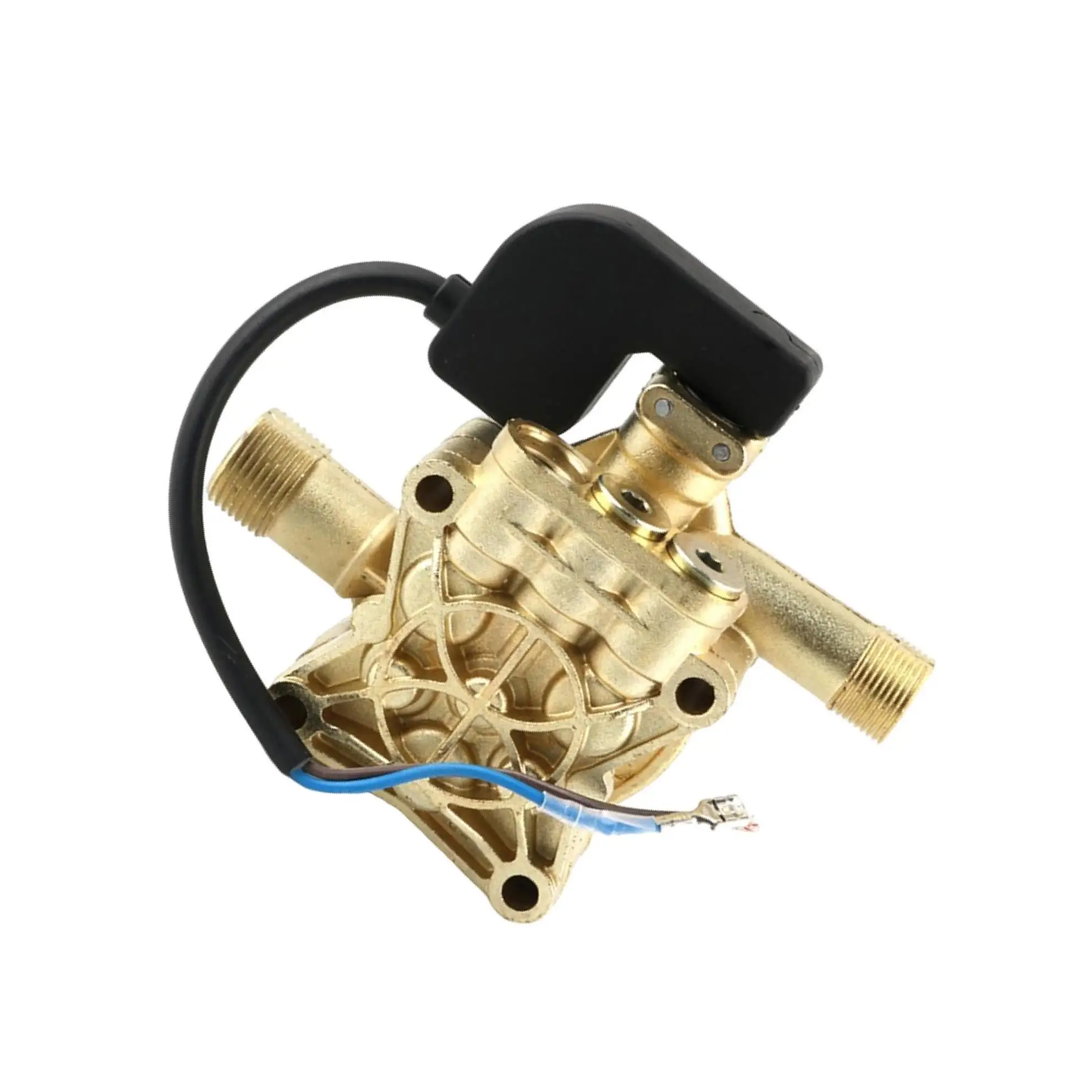 

220V Pump Head Assembly Car Washer Cleaning Machine Parts Premium Portable