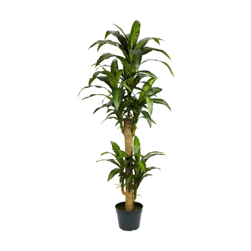 

5ft. Plastic Yucca Artificial Plant