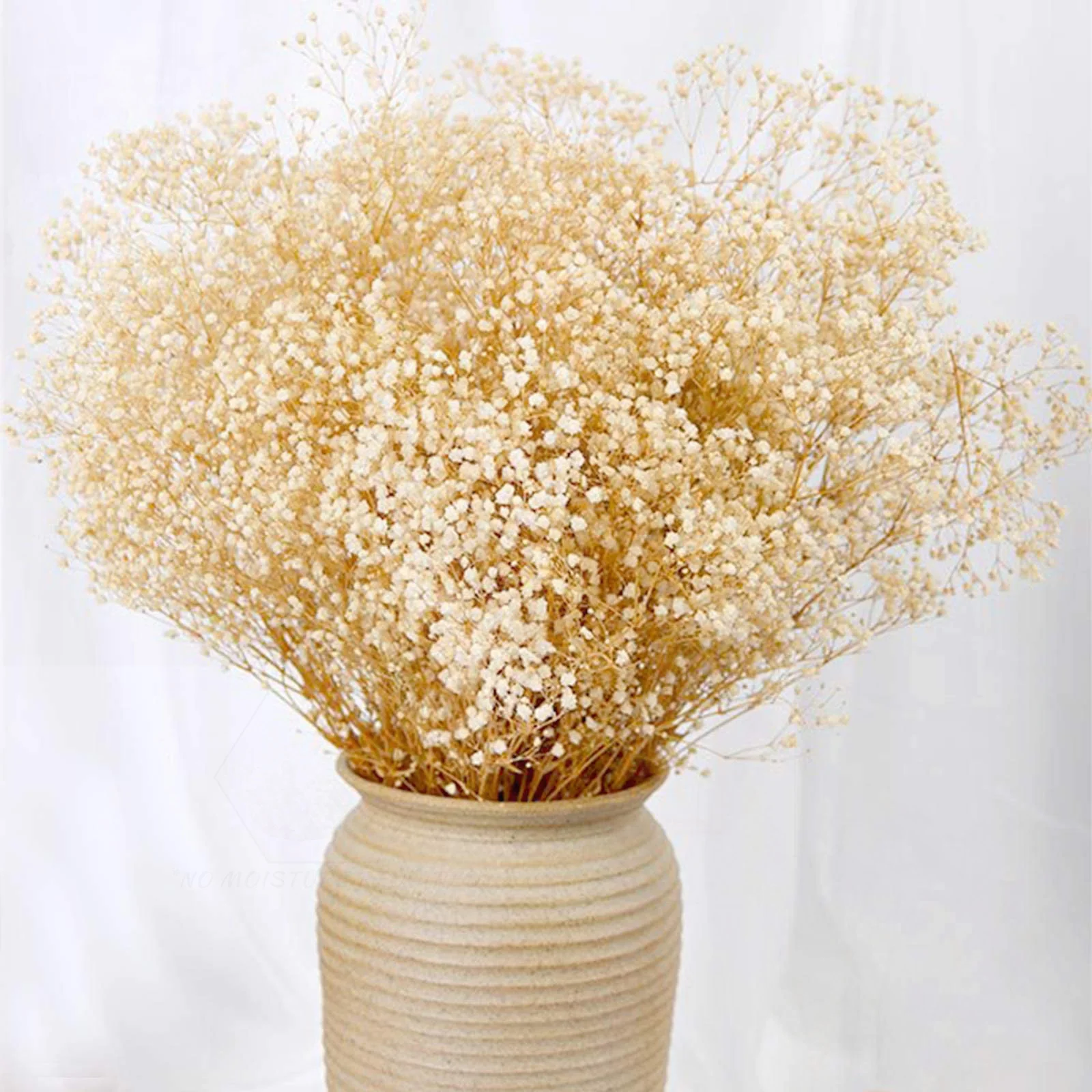 

Natural Gypsophila Baby Breath Dried Flower Bouquet Valentine Day Gift Wedding Party Decoration Preserved Paniculata Home Decor