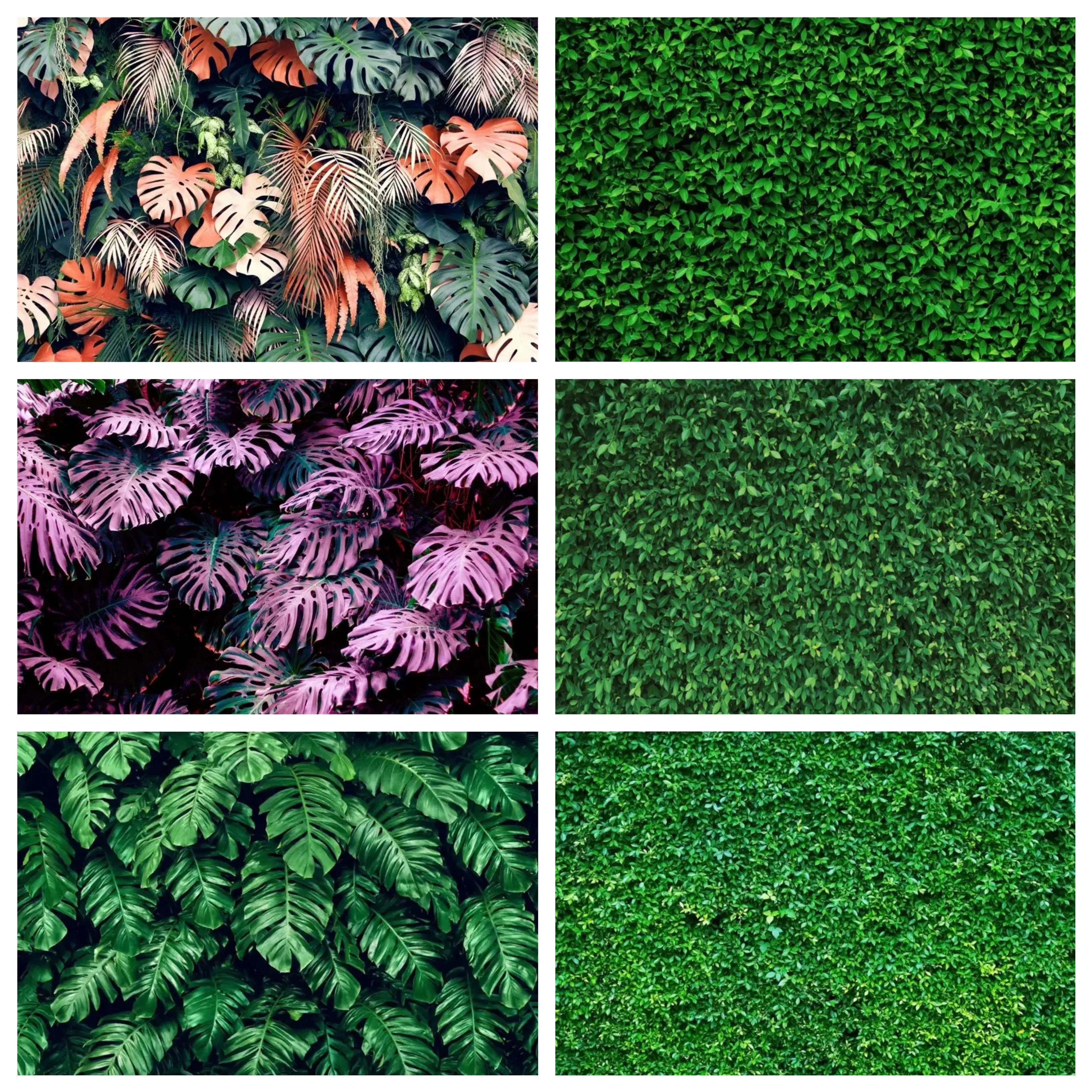 Фон для фотосъемки с зелеными листьями травой джунглей сафари Детский День