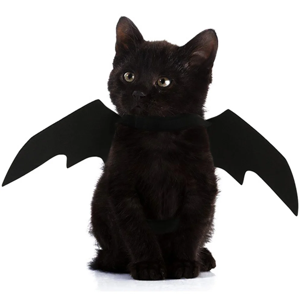 

1PC Cloth Cat Bat Costume Cat Bat Cat Costume