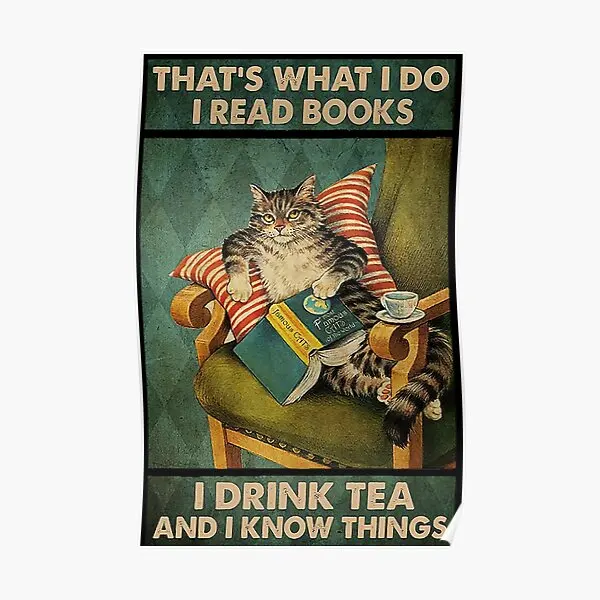 

That Is What I Do I Read Books I Drink Te Poster Wall Decor Print Funny Vintage Mural Modern Room Picture Decoration No Frame