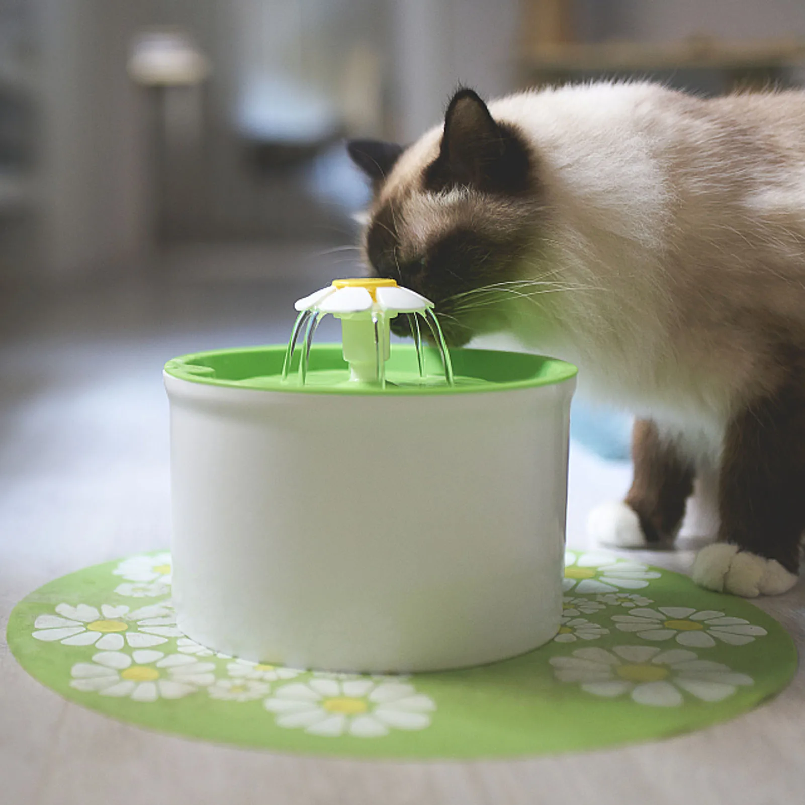 

8pcs Cat Water Fountain Filter Automatic Pet Water Fountain Filter Replacement Cat Water Dispenser Filters Round Replacements