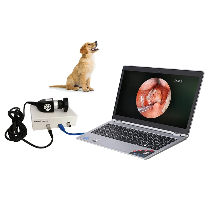

Video otoscope portable usb hd veterinary ent endoscope
