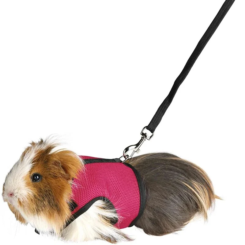 

Pet Mesh Soft Harness with Leash Traction Rope Small Animal Vest for Rabbit Guinea Pig Hamster Chest Strap Set Pet Accessories