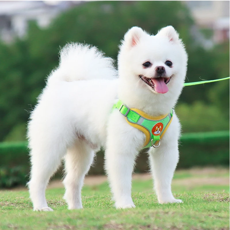 

New Pet Dog Harness Leash Set Reflective Puppy harness Adjustable Outdoors Walking Running Vest Harness For Small Meduim Dogs