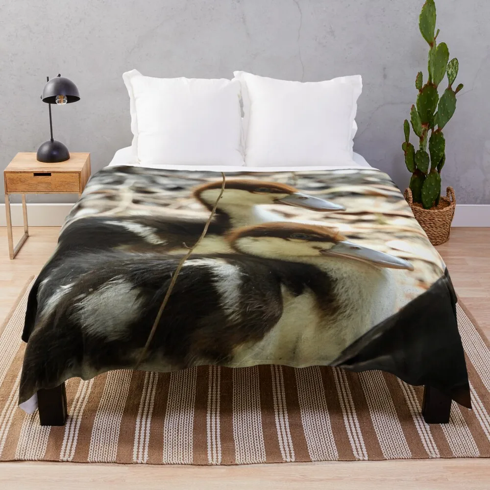 Radjah Шелдук утки всегда будущий мир пледы декоративное одеяло милые клетчатые