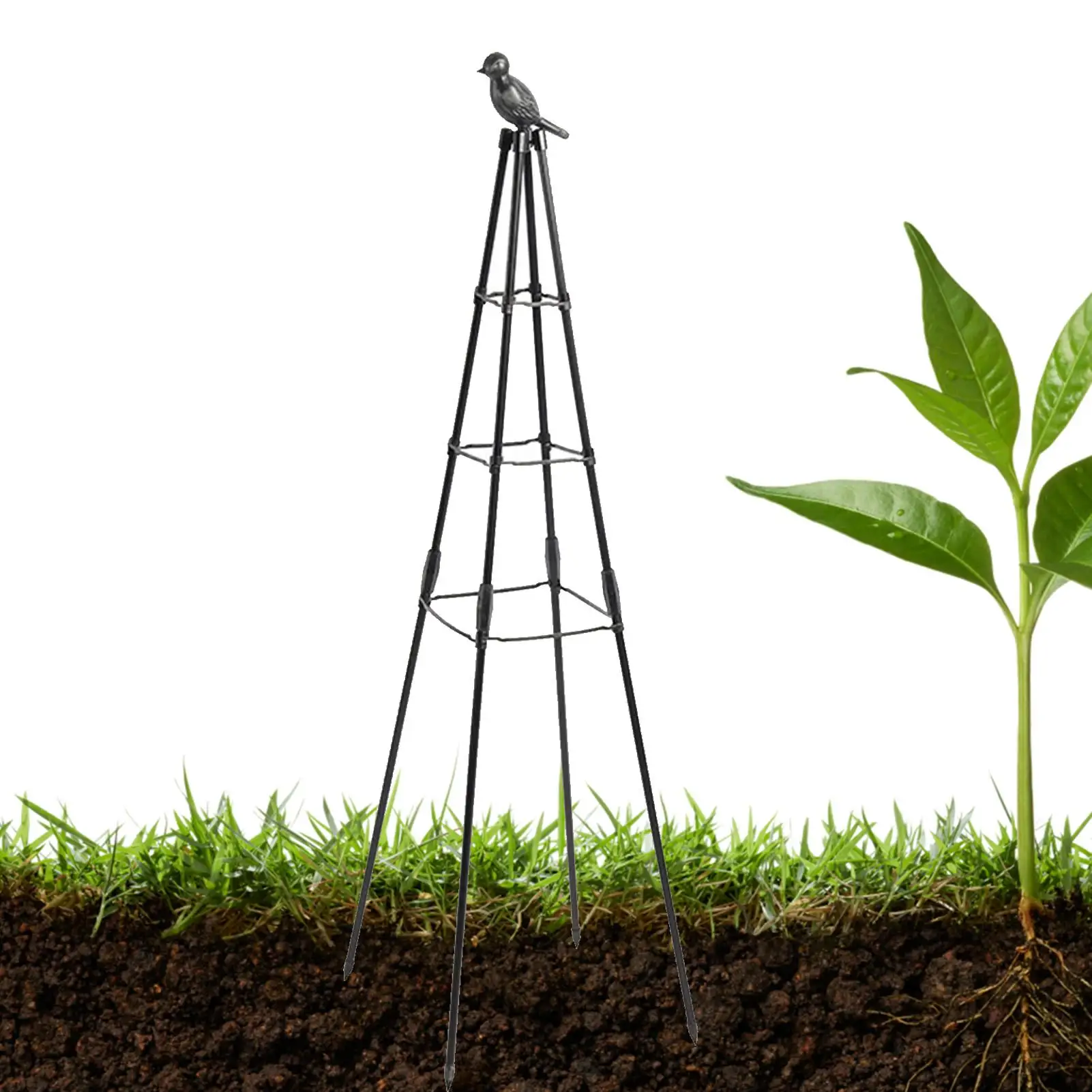 

Trellis For Potted Plants Garden Trellis For Climbing Plants Heavy Duty Rustproof Metal Plant Trellis With Bird Sculpture