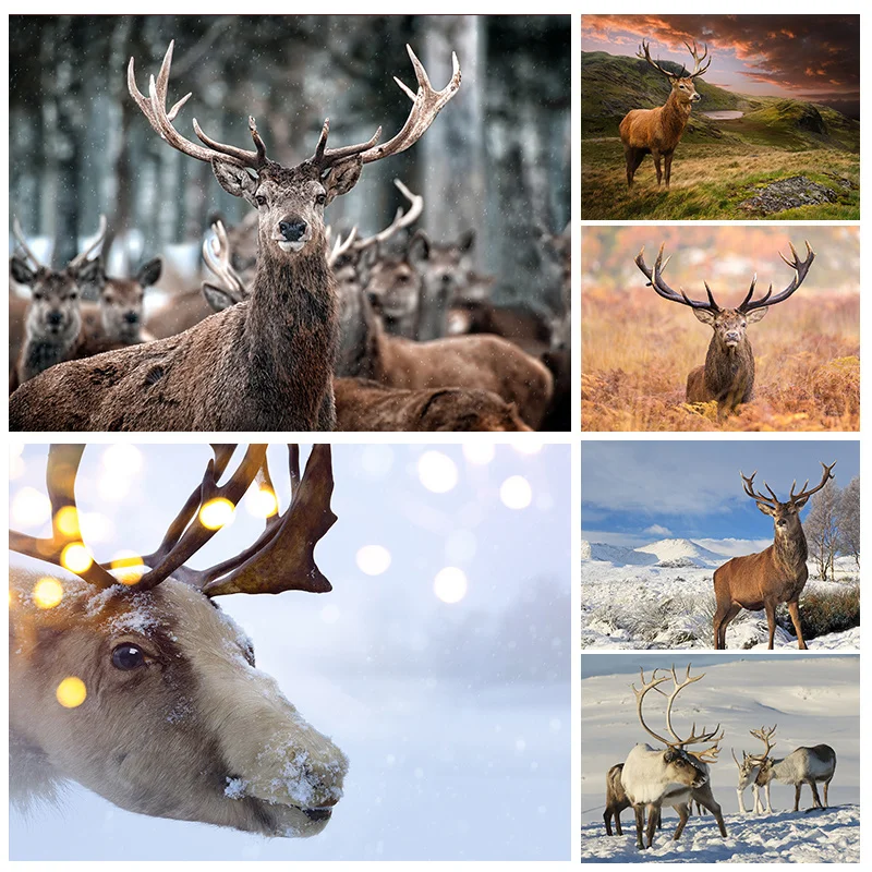

Animal DIY 5D Diamond Painting Kits Full Drill Moose In The Snow Diamond Mosaic Hand Inlaid Rhinestones Embroidery Home Decor