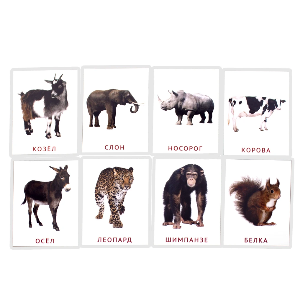 Детские развивающие карточки Монтессори с животными 19 шт. |