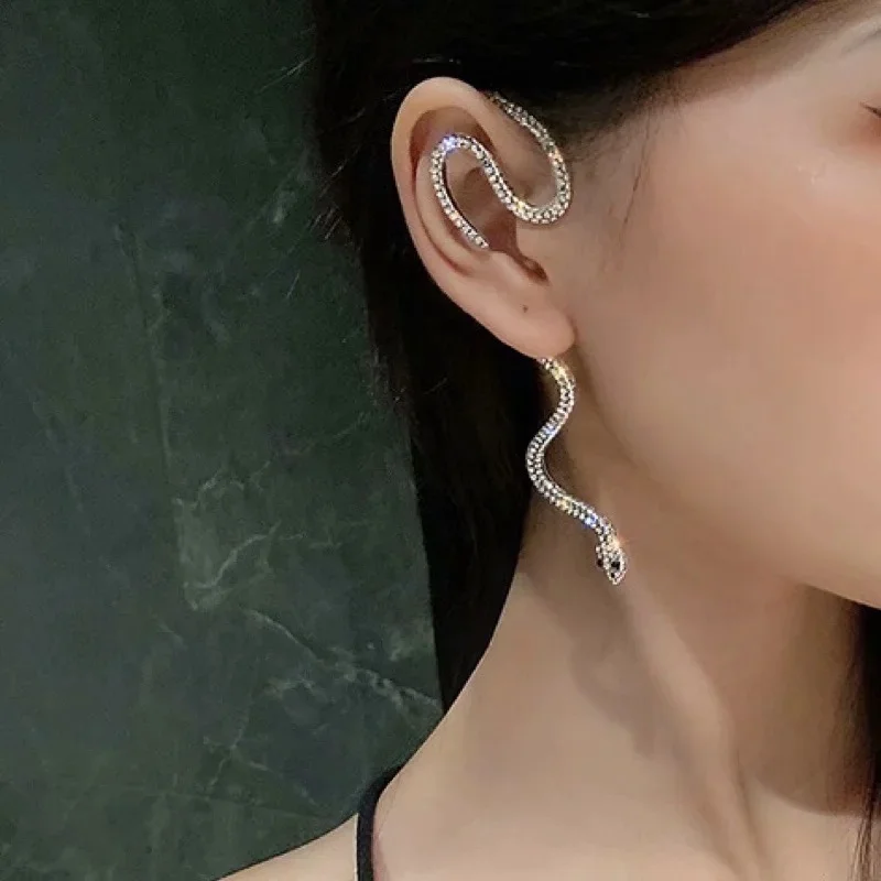 

Winding Snake Earrings Women's Singles Trendy Men Street Hip Hop New Trendy Women's Earrings Dark Series Jewelry