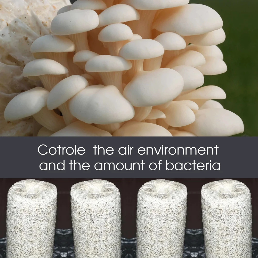 13-25 см пластиковые выпуклые края штанги для грибов садовых ферм съедобные грибки