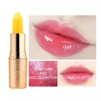 discoloration moisturizing lipstick lips premakeup nutrition repair discoloration toning lipstick pen makeup gloss