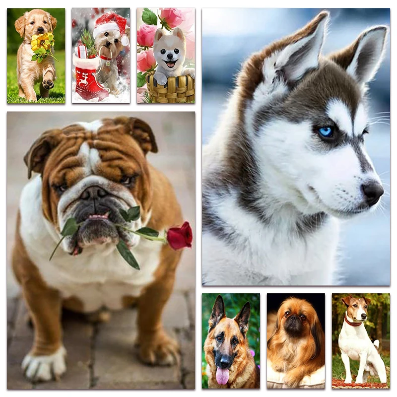 

Алмазная мозаика с собакой хаски, щенком, E091