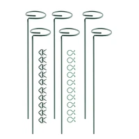 6pack 15 8in plant support stakesgarden plant stakessingle stem plant support for amaryllisorchidlilyrosetomatoes