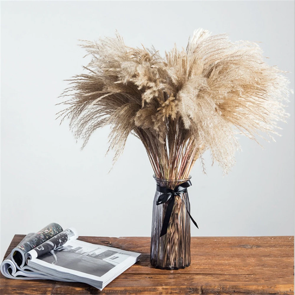 

Fluffy Pampas Grass Kerst Decor Real Pampas Grass Reed DIY Craft Natuurlijke Gedroogde Plant Ornamenten Bruiloft Decor Bloem Bos