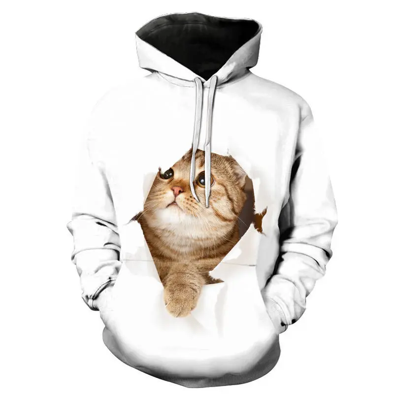 2021 Spring and Summer  Foreign Trade Cute Cat 3D Digital Printing Trend men's  Hoodie Factory Direct Sales