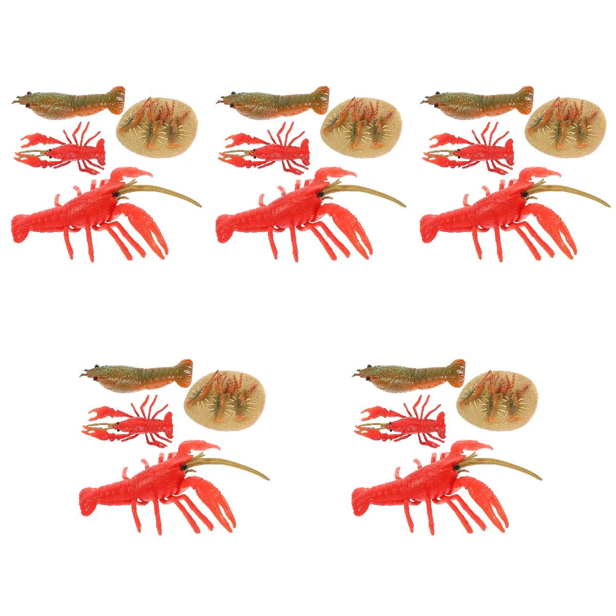 

20 Lobster Models Growth Cycle Model Children's Puzzle Model Animal
