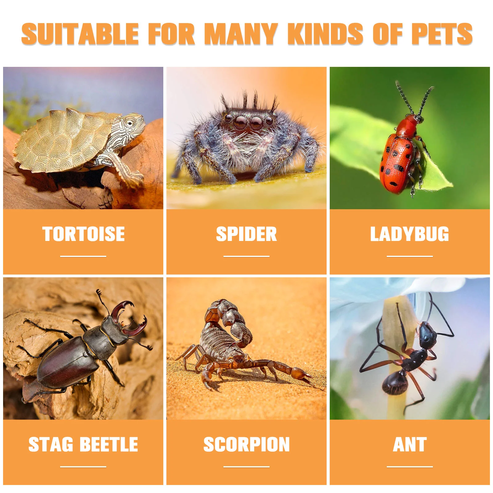 Акриловая коробка для ползающих домашних животных террариум питомник ящерица