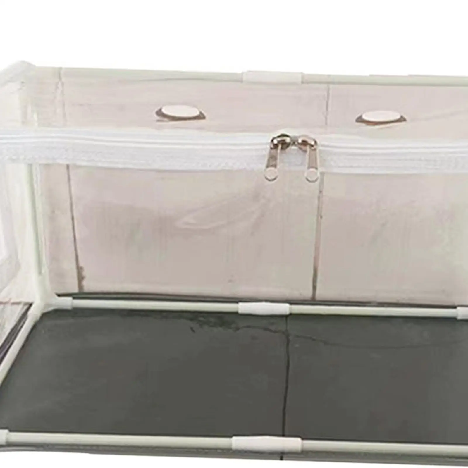 Контейнер для грибов комплект сделай сам садоводства компактный чехол теплиц