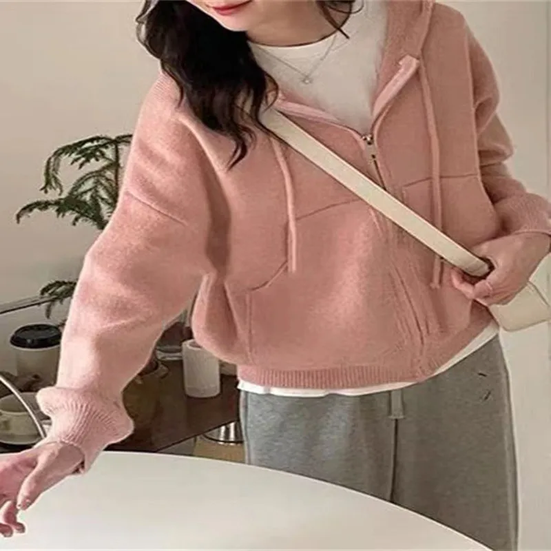 

Однотонный кардиган на молнии с карманами и капюшоном Новинка свитер карамельных цветов Широкий топ свободного покроя для осени/зимы 2022