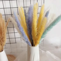 1 bouquet dry flowers natural pampa dried plants boho wedding decoration party dried pampas grass decor accessories