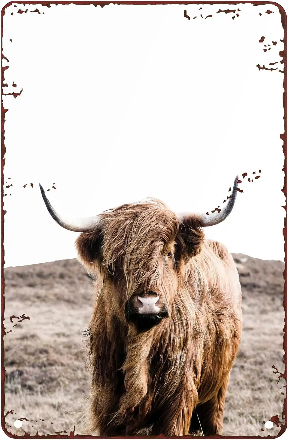 Hghlnd Cow Decor Brthdy Bufflo Prnt Cttle Frmhouse Tn Sgns для Grge Sgn Chc rt Wll Metl Decortons Funny ron Plque