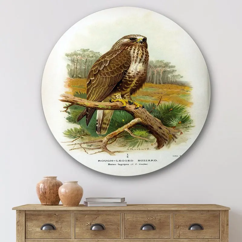 

'Ancient Bird Life IX' Traditional Circle Metal Wall Art 36x36 - Disc of 36