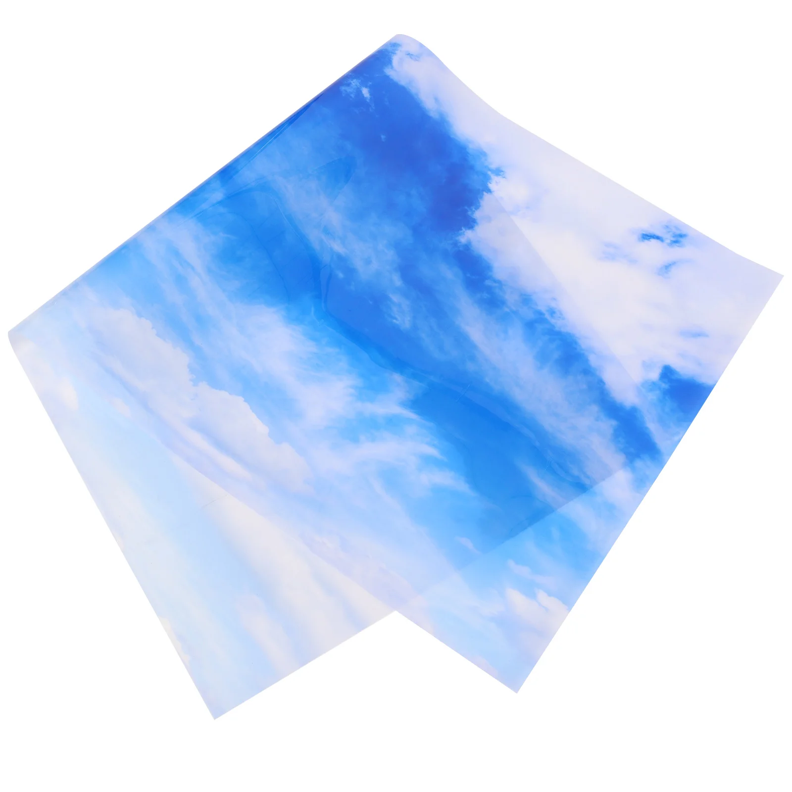 

Decorative Ceiling Lamp Cover Fluorescent Lamp Cover Ceiling Light Cover for Home