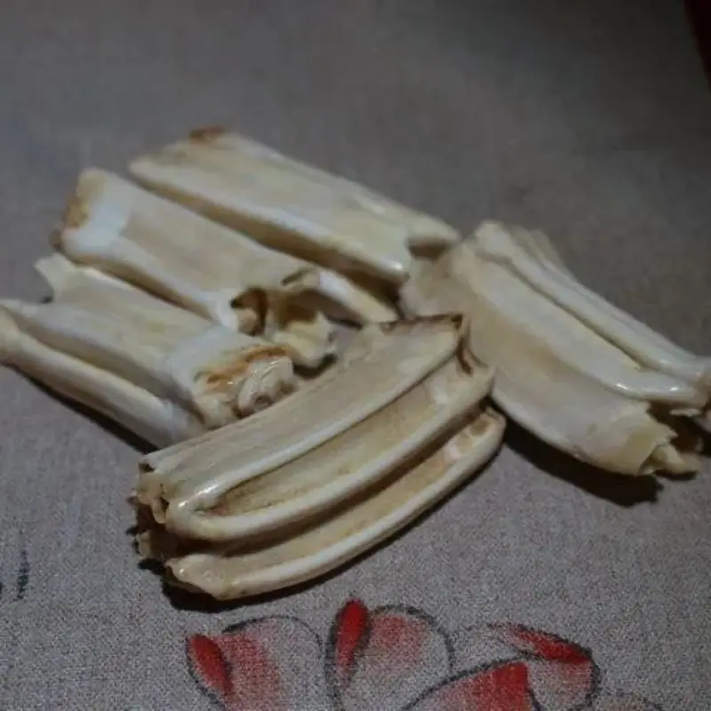 Natural Hippo Teeth Pendant Hippo Teeth Hand Handle Piece Horse Teeth Dental Raw Materials Literary Play Handle Play Hand Handle