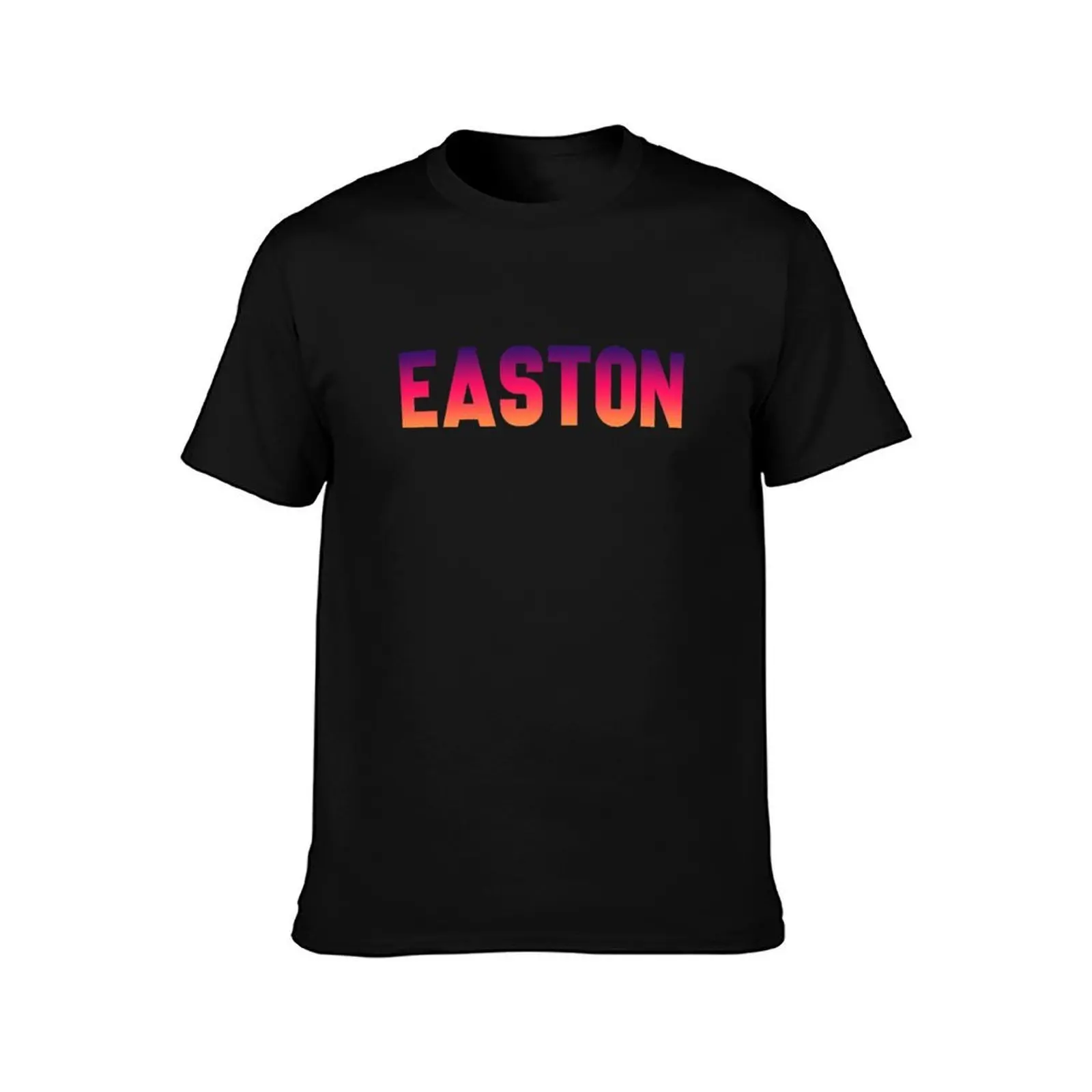Фото Футболка EASTON Спортивная дышащая футболка с коротким рукавом №2